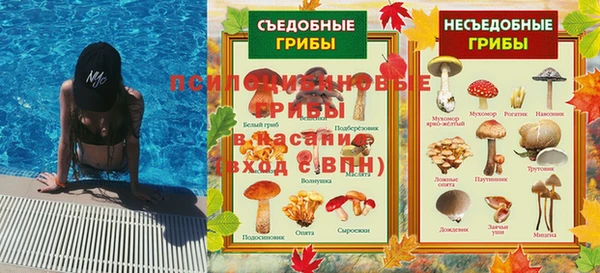 индика Абаза