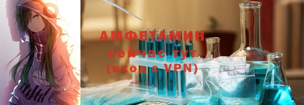 индика Абаза