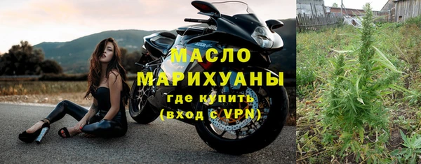 индика Абаза
