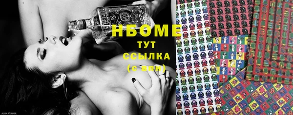 индика Абаза