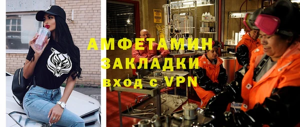 индика Абаза