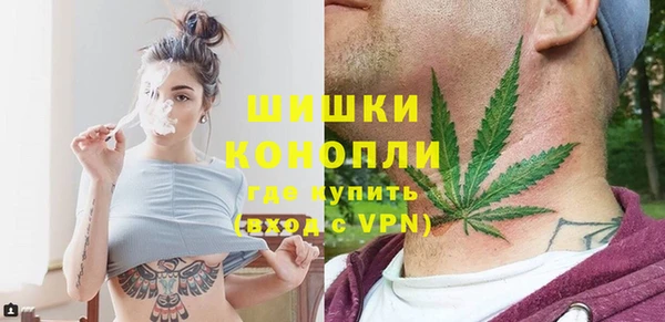индика Абаза